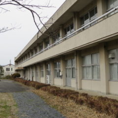 いろいろ撮影できちゃう学校スタジオ・校舎・東側から・桜の木
