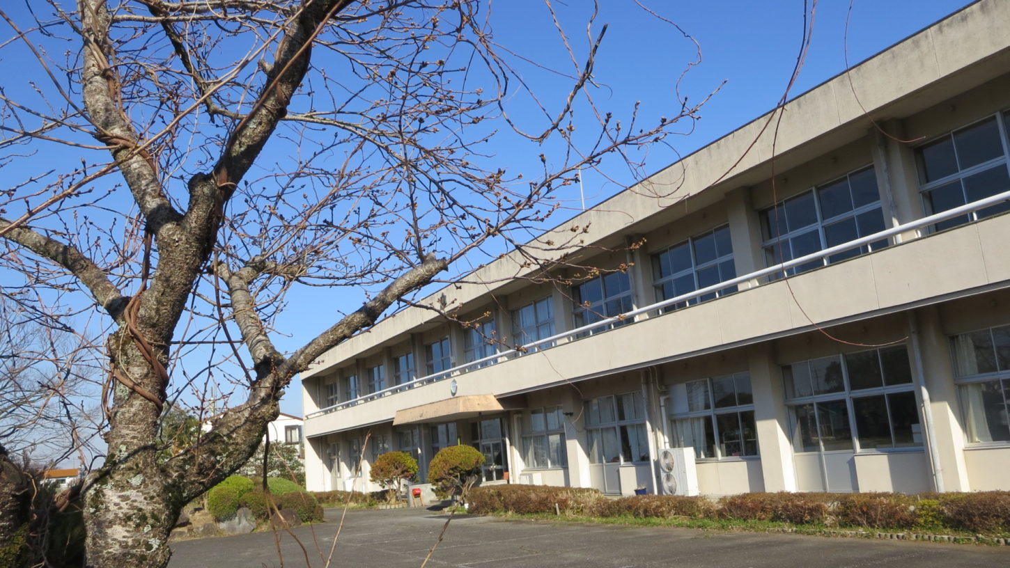 学校スタジオ・桜の木・まだ開花してません・桜の花なめで撮影したい