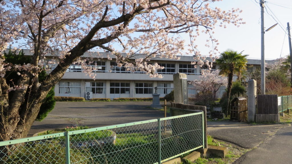 いろいろ撮影できちゃう学校スタジオ・桜・春・桜イメージ・学校前道路・通学路から校舎