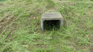 いろいろ撮影できちゃう学校スタジオ・校庭の隅・秘密基地