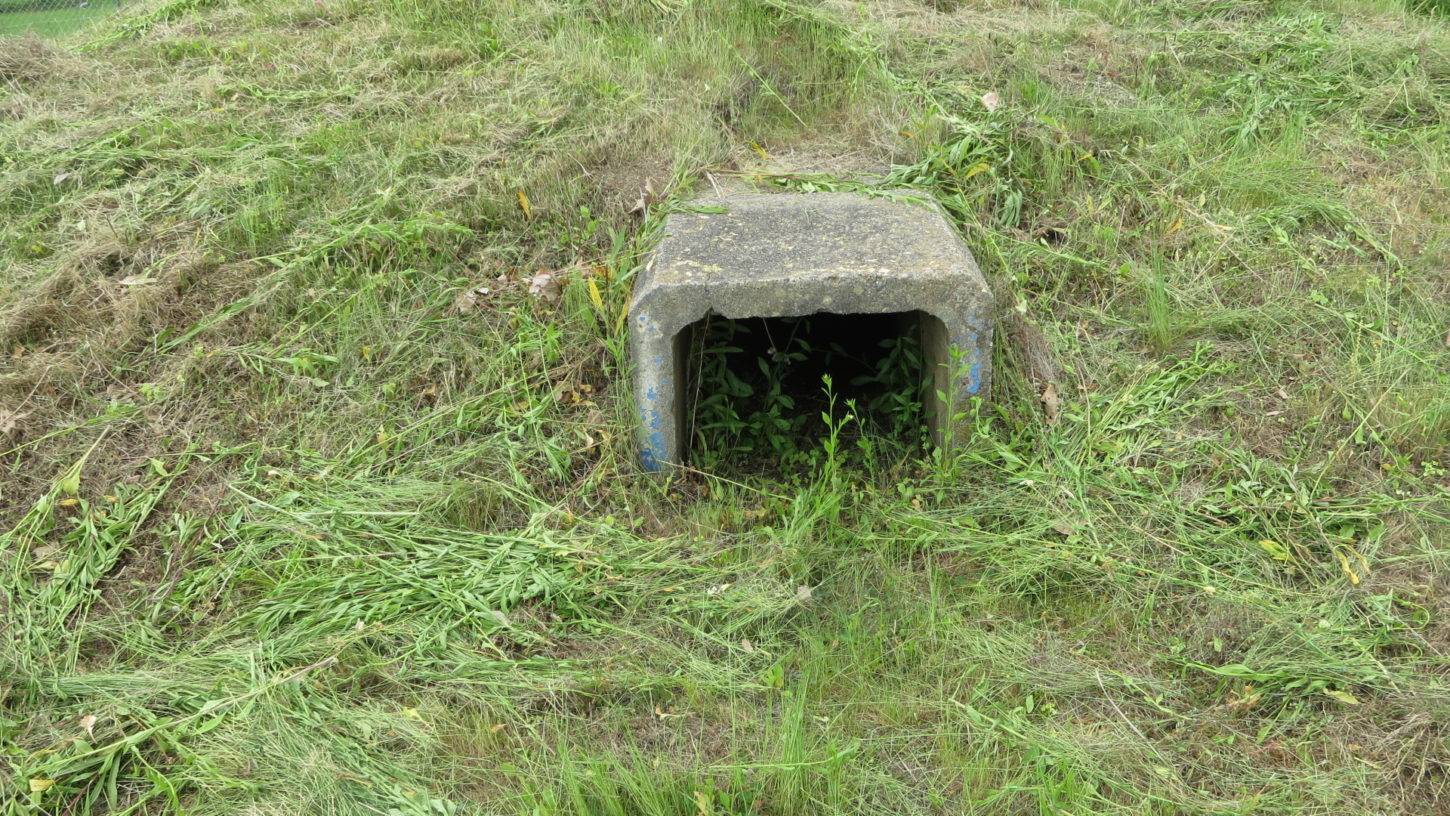 いろいろ撮影できちゃう学校スタジオ・校庭の隅・秘密基地