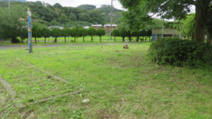 いろいろ撮影できる学校スタジオ・草刈り機・草刈り整備・撮影環境・庭の維持管理
