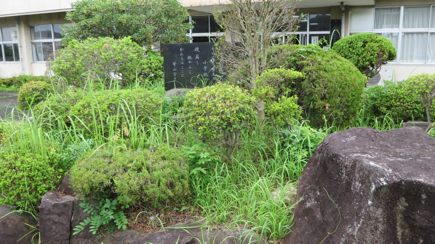 いろいろ撮影できる学校スタジオの正面入り口前の植え込み・雑草駆除