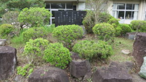 いろいろ撮影できる学校スタジオの正面入り口前の植え込み・雑草駆除