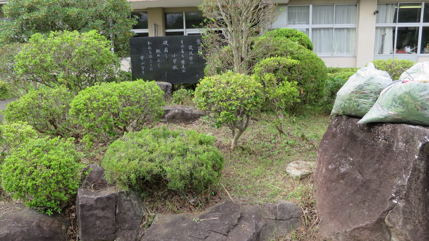 いろいろ撮影できる学校スタジオの正面入り口前の植え込み・雑草駆除