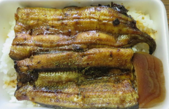 いろいろ撮影できちゃう学校スタジオ近所の魚徳・ウナギ弁当・国産・激うま