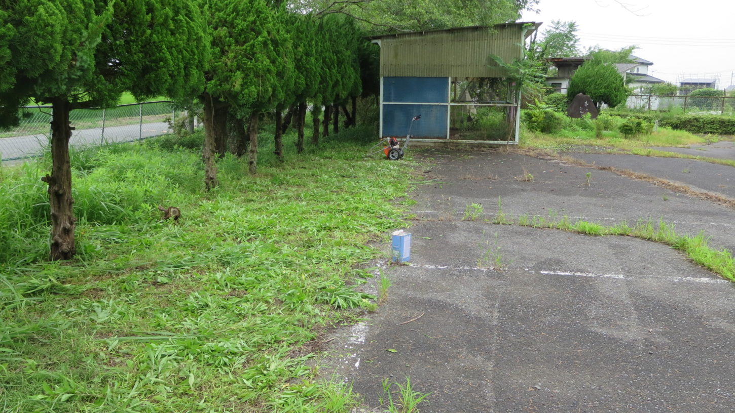 いろいろ撮影できる学校スタジオ・飼育小屋付近の草刈完了