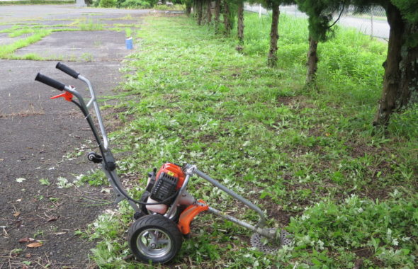 いろいろ撮影できる学校スタジオ・飼育小屋付近の草刈完了