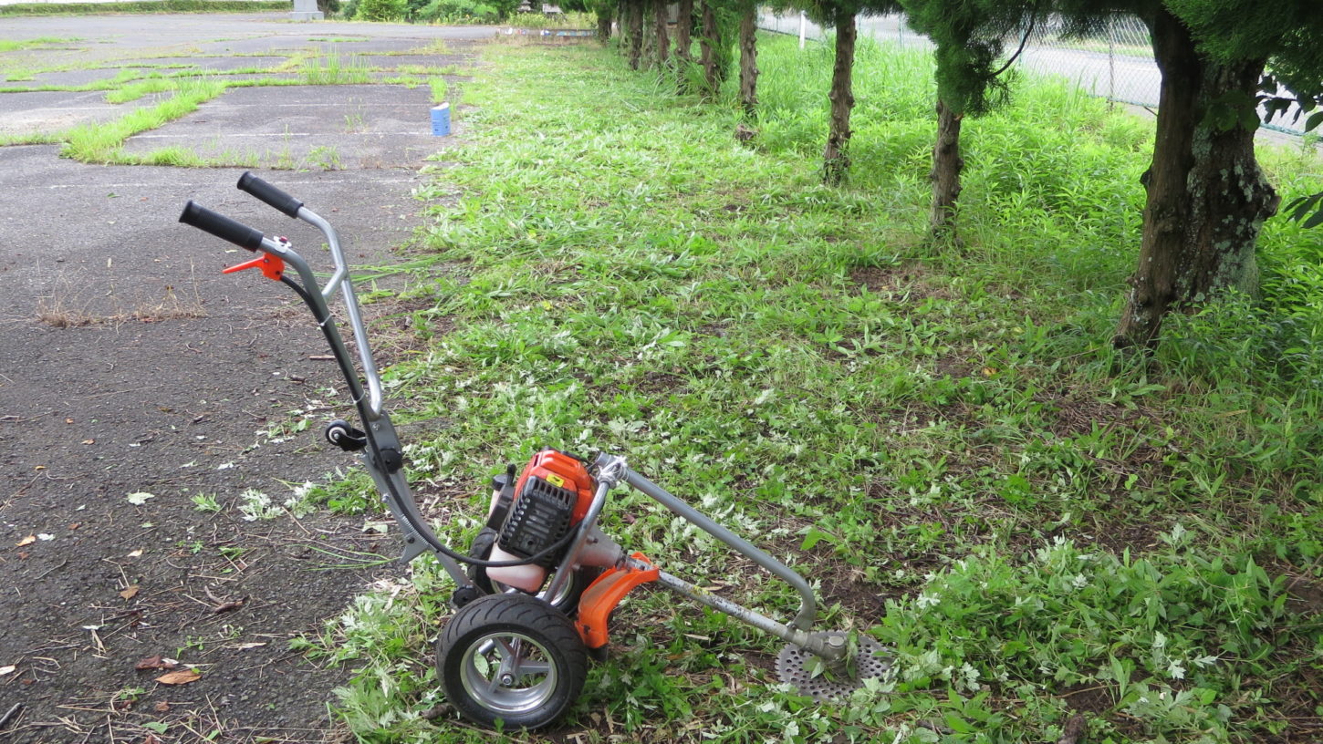 いろいろ撮影できる学校スタジオ・飼育小屋付近の草刈完了