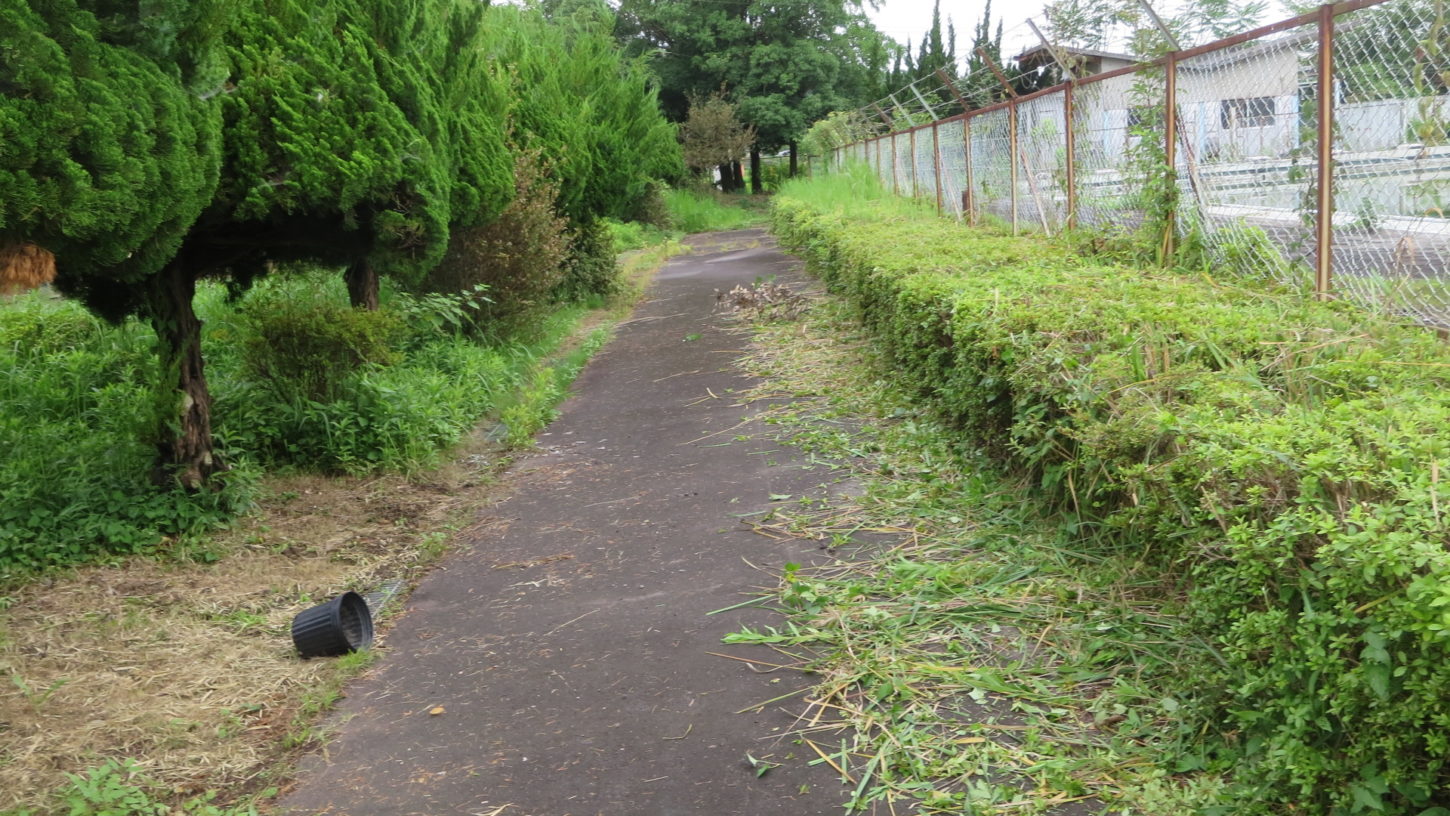いろいろ撮影できる学校スタジオ・プール脇の道・草刈・植え込みをバリカン・整備