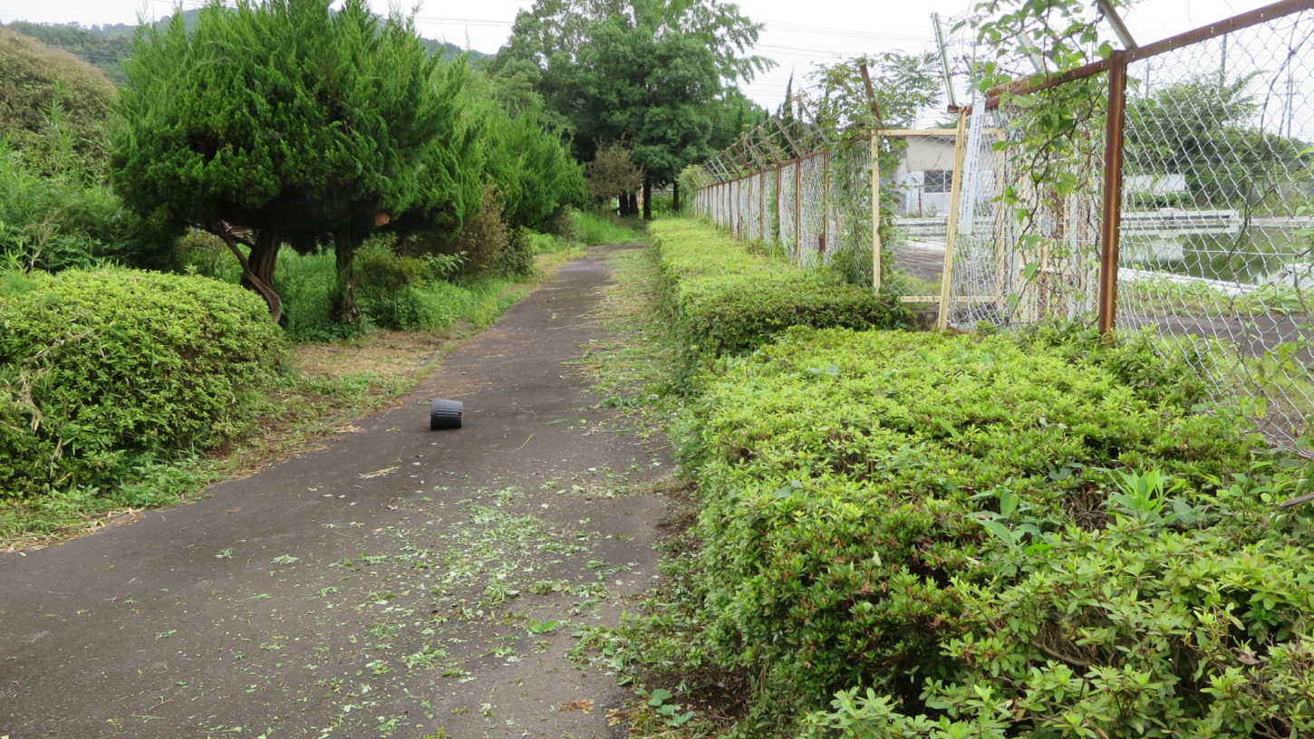 いろいろ撮影できる学校スタジオ・プール脇の道・草刈・植え込みをバリカン・整備