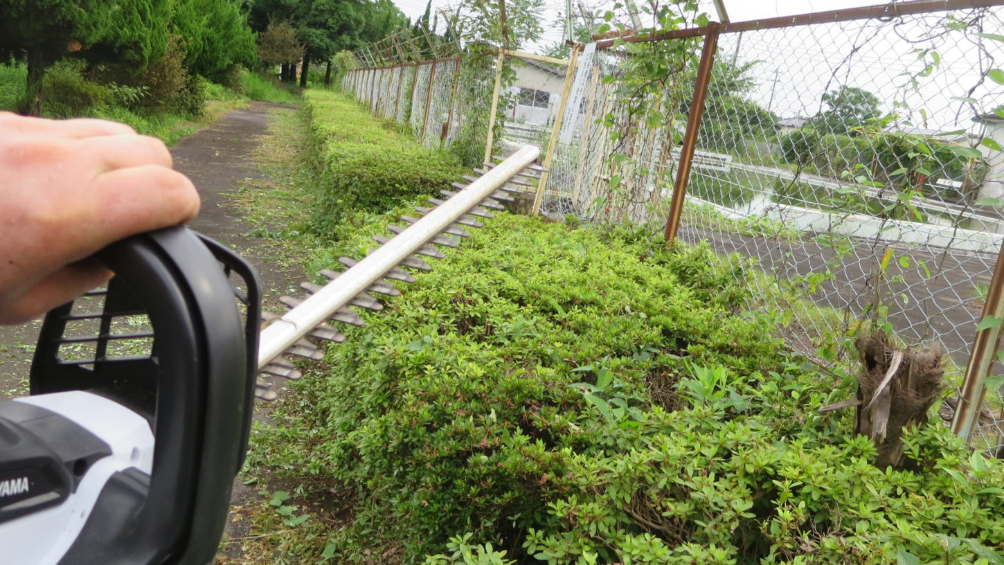 いろいろ撮影できる学校スタジオ・プール脇の道・草刈・植え込みをバリカン・整備