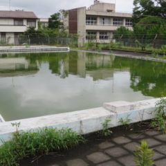 学校のプール・撮影依頼・清掃シーン・