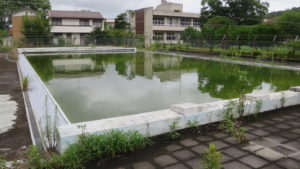 学校のプール・撮影依頼・清掃シーン・
