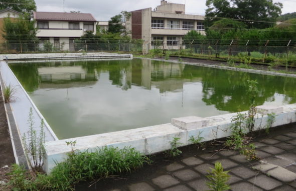 学校のプール・撮影依頼・清掃シーン・