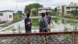 学校のプール・撮影依頼・清掃シーン・