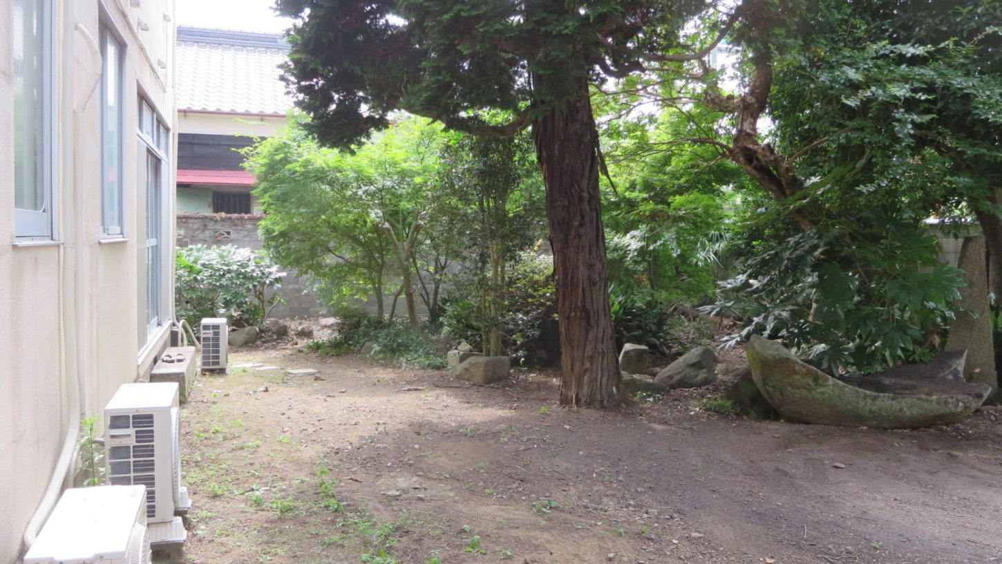 登録有形文化財橋本旅館スタジオ庭・整備-枝・伐採・撮影準備