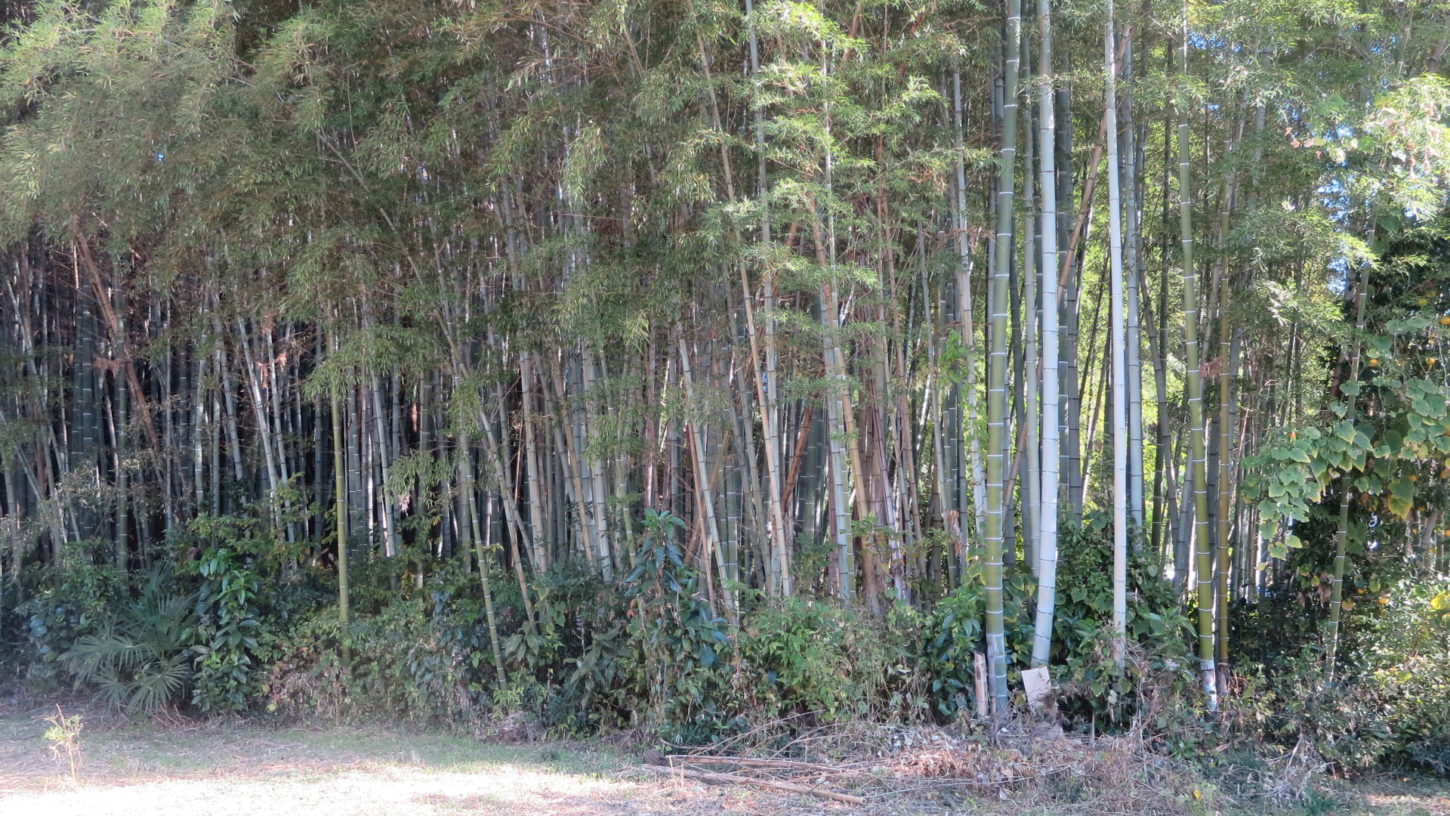 ロケ場所・お寺・江戸時代設定・アトリエミカミ撮影用管理物件・ロケーションコーデネート・撮影立ち合い