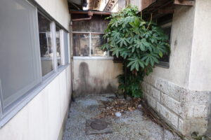 登録有形文化財橋本旅館スタジオ・中庭・木の伐採。清掃