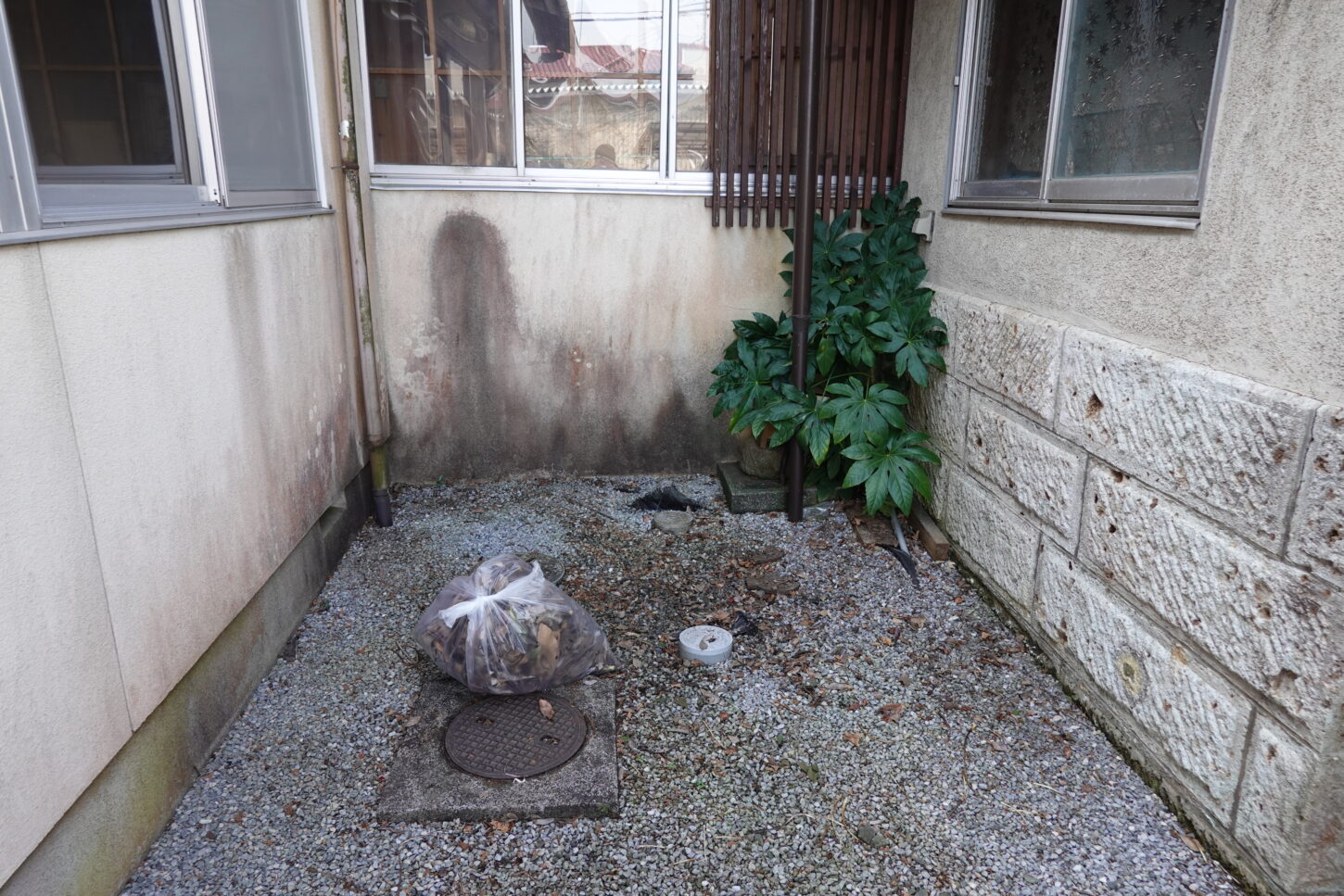 登録有形文化財橋本旅館スタジオ・中庭・木の伐採。清掃
