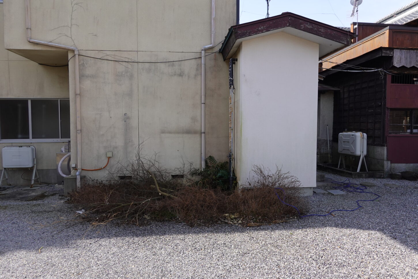 登録有形文化財橋本旅館スタジオの北側庭の木を根元から切りました