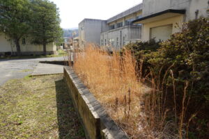 学校スタジオ・外周りの清掃・雑草駆除