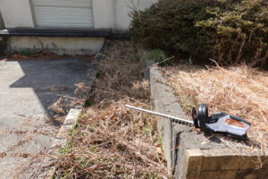 学校スタジオ・外周りの清掃・雑草駆除