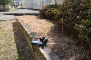 学校スタジオ・外周りの清掃・雑草駆除