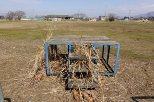 学校スタジオ・外周りの清掃・雑草駆除