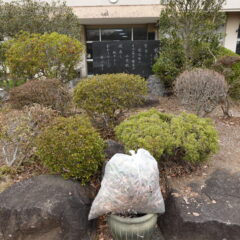 学校スタジオ・正面玄関前・重要ポイント・草刈・整地・撮影イメージポイント