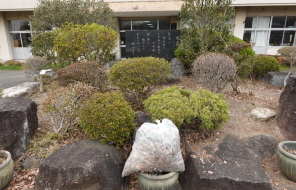 学校スタジオ・正面玄関前・重要ポイント・草刈・整地・撮影イメージポイント