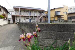 昭和でレトロなアパートスタジオ・入り口通路・アヤメの花・咲いてます
