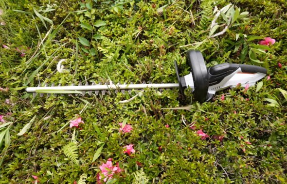 ヘッチトリマー・植え込み上の手入れ・草刈・雑草駆除・学校スタジオ