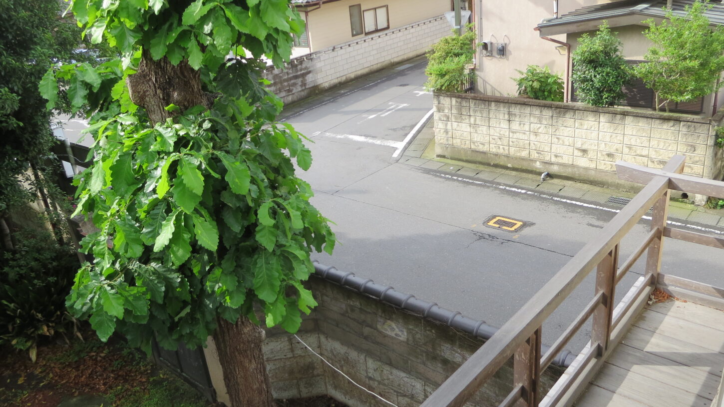 登録有形文化財橋本旅館2階の窓・新館側・東側