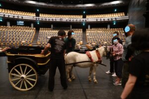 牧阿佐美バレー団・リーズの結婚・白馬・ポニー・馬車・動物プロのお仕事・アトリエミカミ