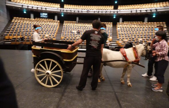 牧阿佐美バレー団・リーズの結婚・白馬・ポニー・馬車・動物プロのお仕事・アトリエミカミ