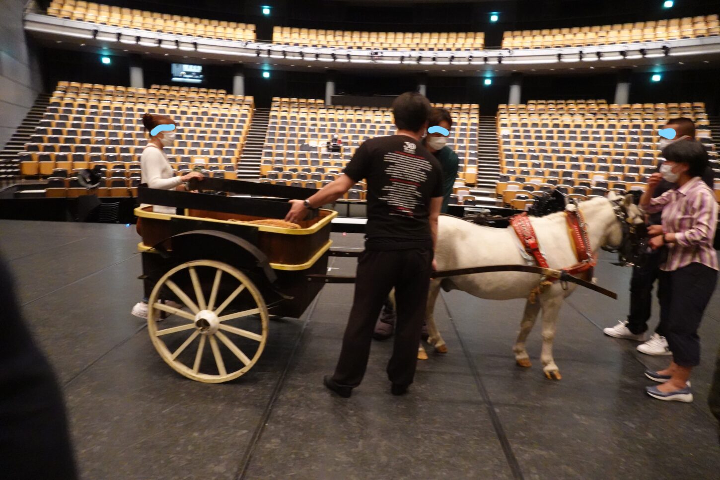 牧阿佐美バレー団・リーズの結婚・白馬・ポニー・馬車・動物プロのお仕事・アトリエミカミ