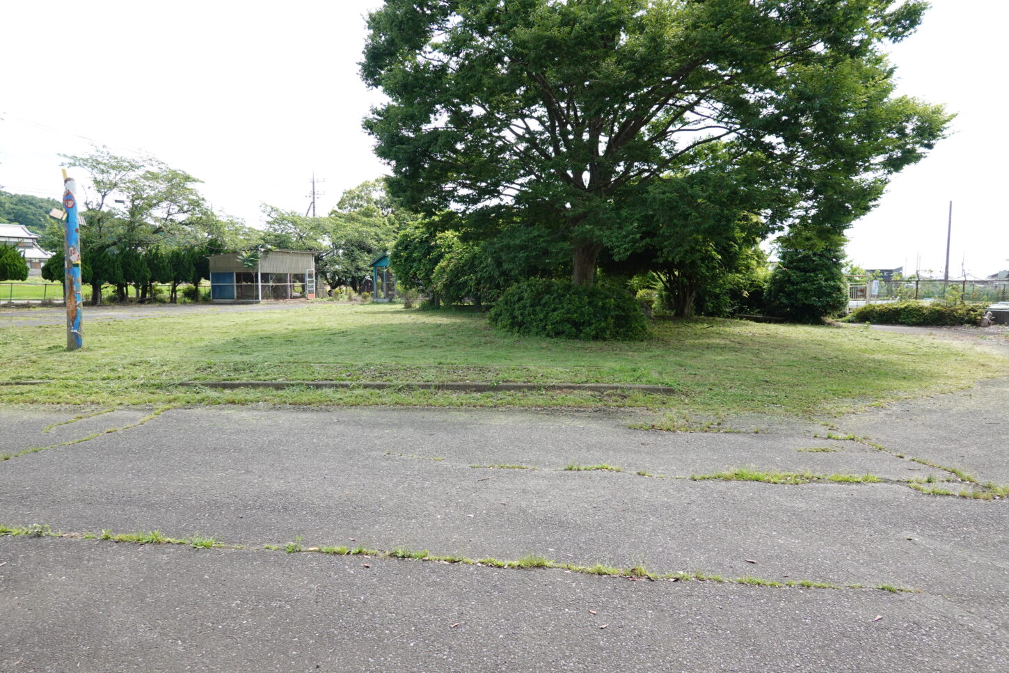 学校スタジオ庭の草刈り・エンジン草刈り機
