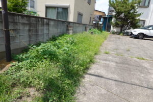 元ビジネスホテルスタジオの前の左側の雑草