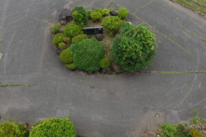 学校スタジオ・正面玄関・植え込み・学校スタジオ、正面玄関前の植え込み・撮影ポイント・イメージカット・ロケ地・ロケ場所・撮影場所・撮影スポット・学校庭・コスプレ撮影・ドラマ撮影・映画撮影・YouTube撮影・ハウススタジオ・レンタルスタジオ・貸しスタジオ・アトリエミカミ管理運営・東京近郊・桜川市・真壁町・スタジオ料金・屋上からの俯瞰