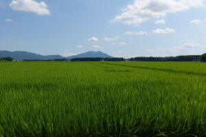 学校スタジオスタジオ周辺の田園風景・ロケ地・撮影場所・