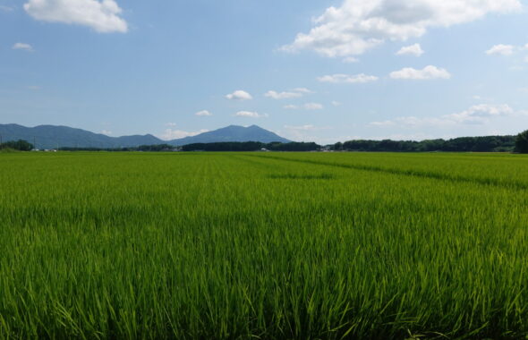 学校スタジオスタジオ周辺の田園風景・ロケ地・撮影場所・