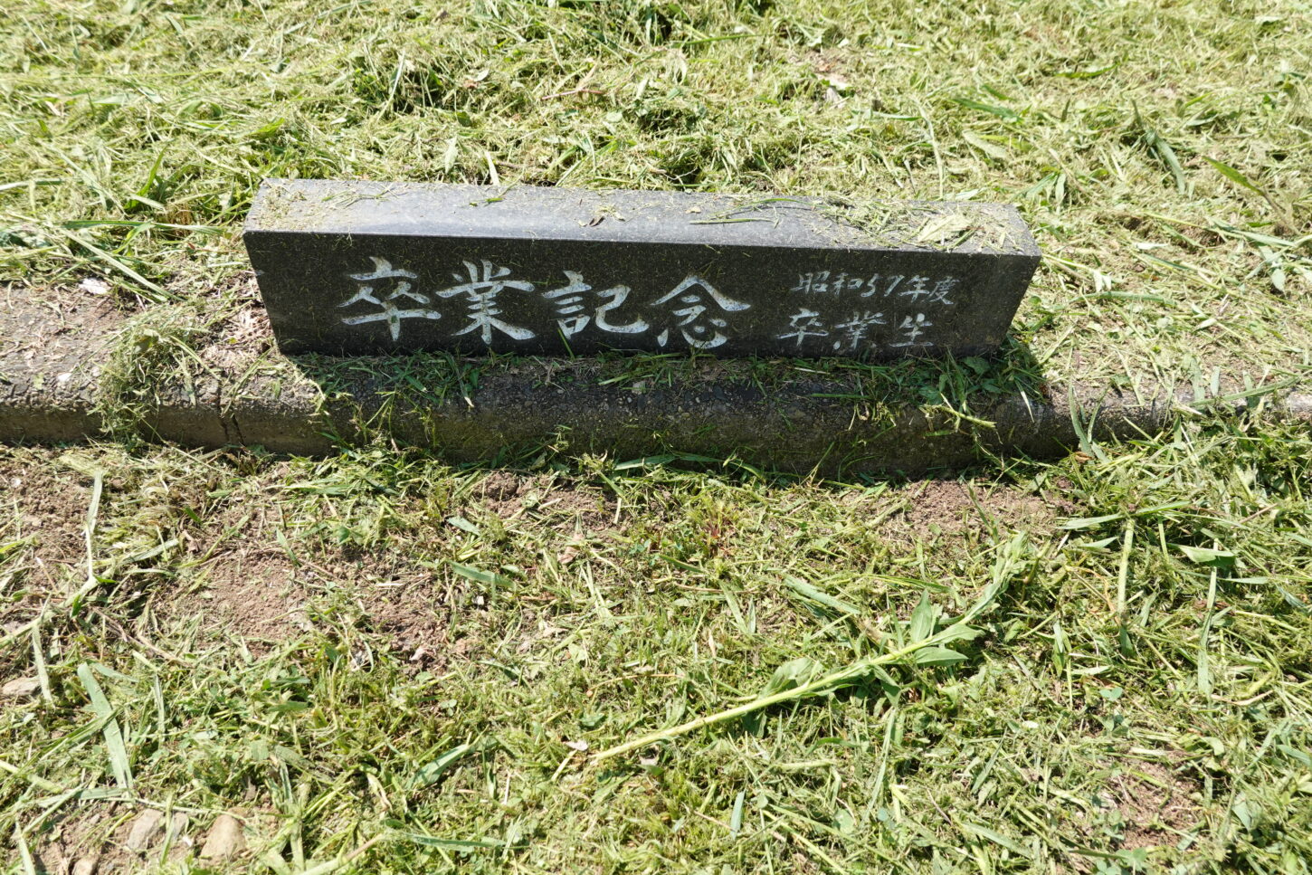 いろいろ撮影出来る学校スタジオ正面庭・草刈り・雑草天国・