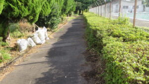 プールのフェンンス周りからの撮影　メンテナンス　植え込み剪定