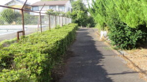プールのフェンンス周りからの撮影　メンテナンス　植え込み剪定
