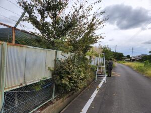 学校の外の塀周り整備