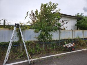 学校の外の塀周り整備