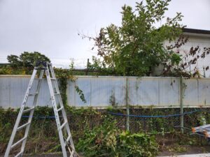 学校の外の塀周り整備