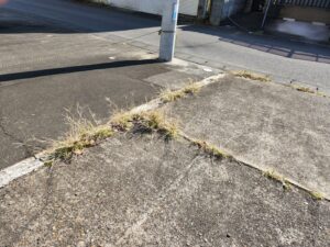 元ビジネスホテルスタジオ・大型戸建てスタジオ・駐車場・雑草・草・駆除・アトリエミカミ撮影場所管理物件・ドラマ・映画・ミュージックビデオ・再現ドラマ・コスプレ・ユーチューブ