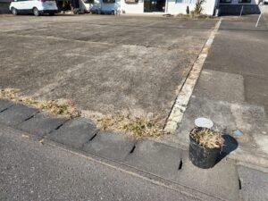 元ビジネスホテルスタジオ・大型戸建てスタジオ・駐車場・雑草・草・駆除・アトリエミカミ撮影場所管理物件・ドラマ・映画・ミュージックビデオ・再現ドラマ・コスプレ・ユーチューブ
